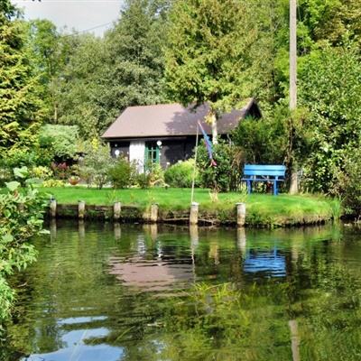 今晚2码出特截图