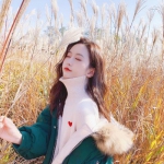 游戏官网平台入口